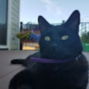 Meet your Posher, Sydney